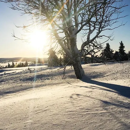 Fjellstue Leil Nr 201 아파트 Sjusjoen