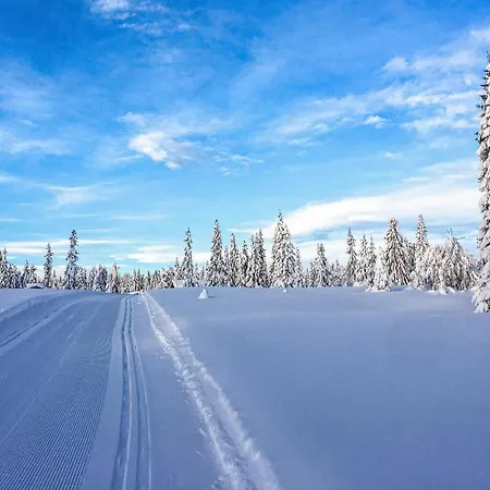 Fjellstue Leil Nr 201